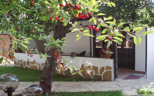 Guest Rooms Bela Neda Велико-Тирново Екстер'єр фото